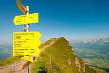 Region Sommer Bild 2