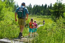 Region Sommer Bild 7
